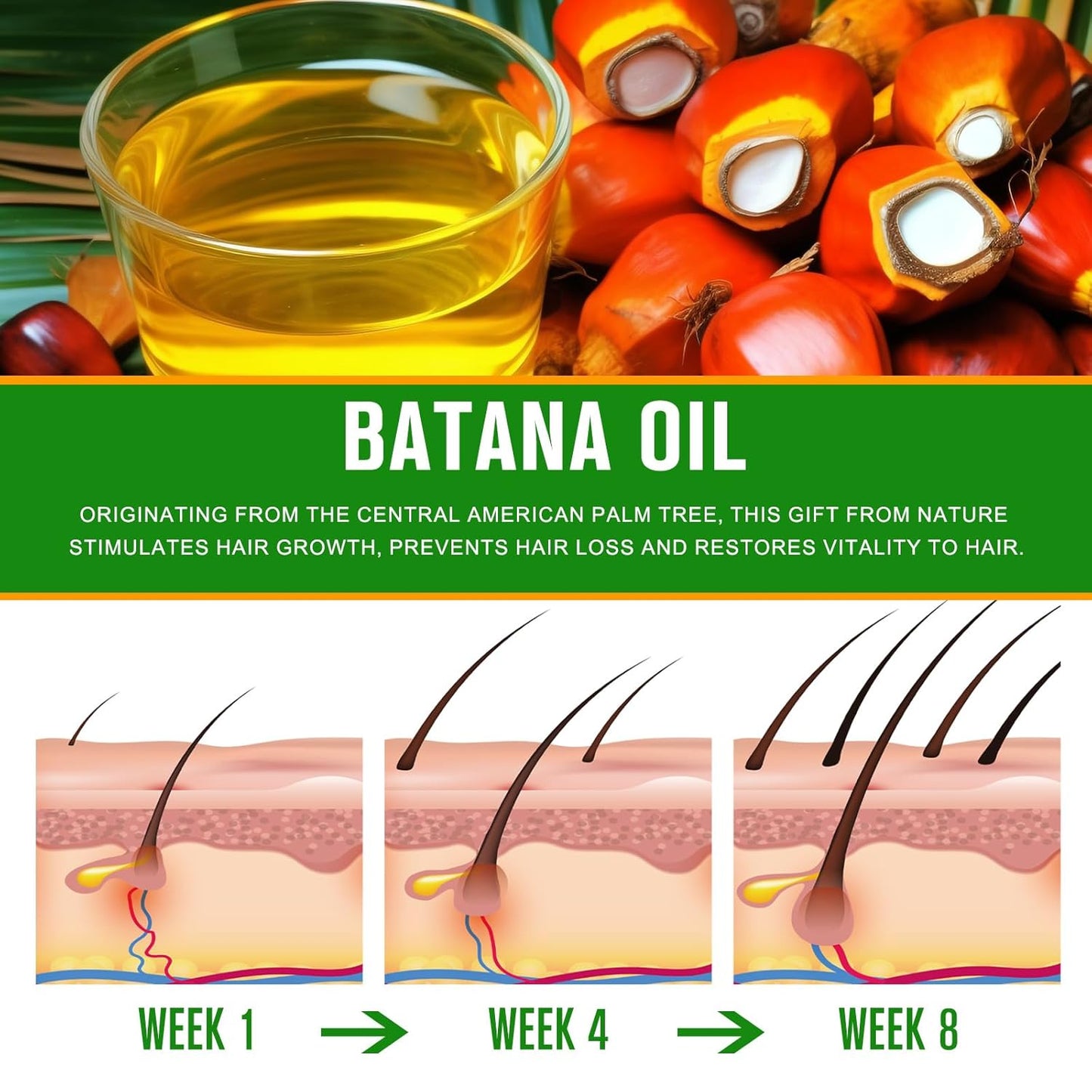 100% Pure Batana Oil from Honduras – Natural Hair Growth & Repair Treatment - Nourishes, Strengthens & Restores Shine (2.02 fl oz)
